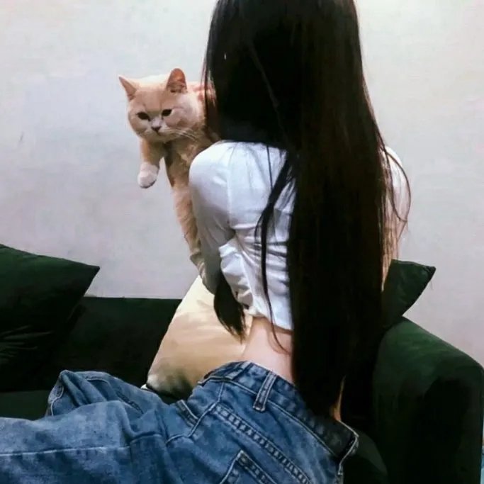 我不卖身我卖子宫
